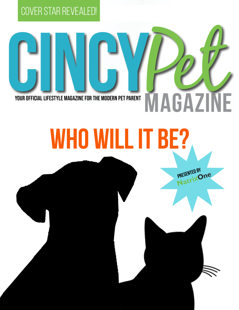 Cincinnati Pet Magazine Contest