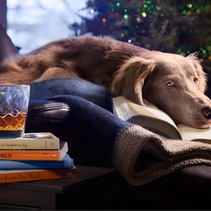 New Years Resolutions for Dogs