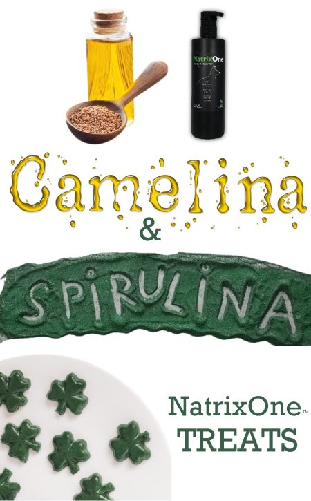 camelina & spirulina